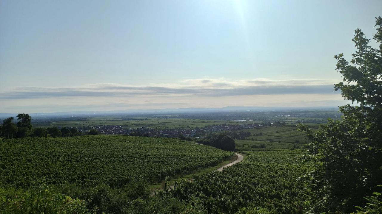 Hotel Speeter Weisenheim am Berg Dış mekan fotoğraf